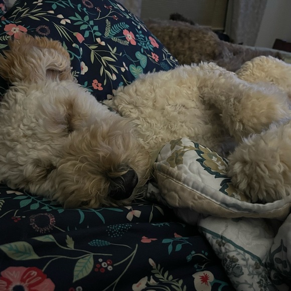 Be Your Own Kinda You! - Picture 6 of 16